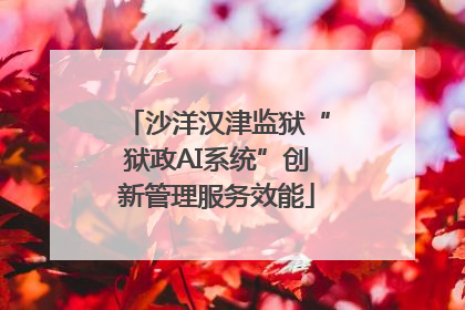 沙洋汉津监狱“狱政AI系统”创新管理服务效能