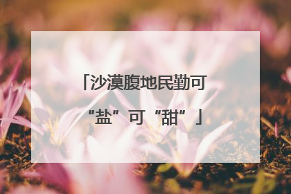 沙漠腹地民勤可“盐”可“甜”