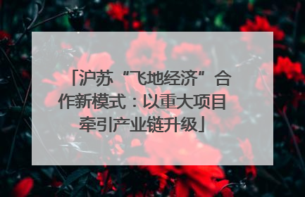 沪苏“飞地经济”合作新模式：以重大项目牵引产业链升级