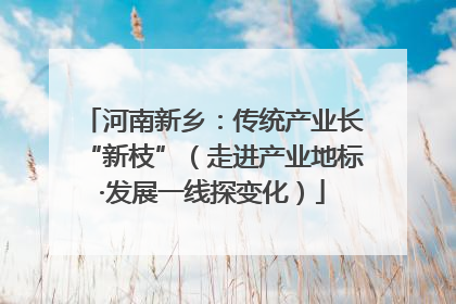 河南新乡：传统产业长“新枝”（走进产业地标·发展一线探变化）