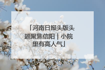 河南日报头版头题聚焦信阳｜小院里有高人气