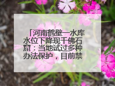 河南鹤壁一水库水位下降现千佛石窟：当地试过多种办法保护，目前禁止打卡