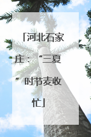 河北石家庄：“三夏”时节麦收忙