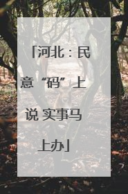 河北：民意“码”上说 实事马上办