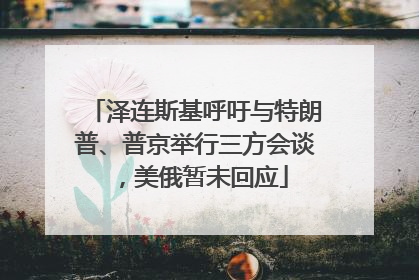 泽连斯基呼吁与特朗普、普京举行三方会谈，美俄暂未回应