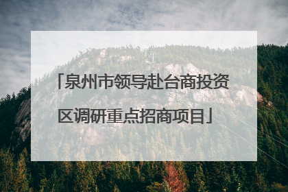 泉州市领导赴台商投资区调研重点招商项目