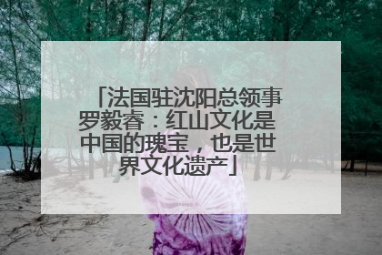 法国驻沈阳总领事罗毅睿：红山文化是中国的瑰宝，也是世界文化遗产