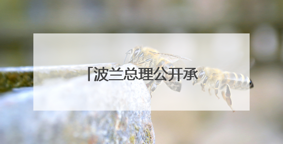 波兰总理公开承认：想从乌克兰战后重建中获利