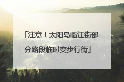 注意！太阳岛临江街部分路段临时变步行街