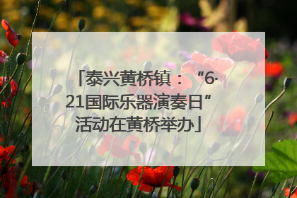 泰兴黄桥镇：“6·21国际乐器演奏日”活动在黄桥举办