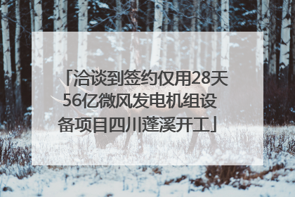 洽谈到签约仅用28天 56亿微风发电机组设备项目四川蓬溪开工