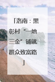 洛南：黑彰村“一地三金”铺就群众致富路