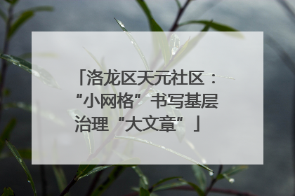 洛龙区天元社区：“小网格”书写基层治理“大文章”