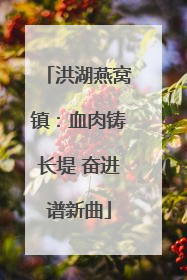 洪湖燕窝镇：血肉铸长堤 奋进谱新曲