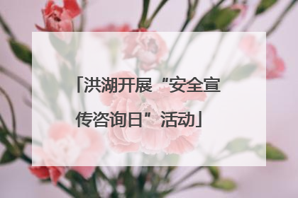 洪湖开展“安全宣传咨询日”活动