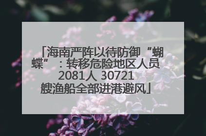 海南严阵以待防御“蝴蝶”：转移危险地区人员2081人 30721艘渔船全部进港避风