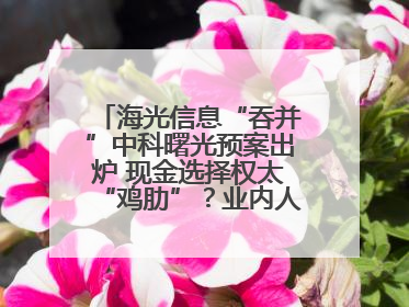 海光信息“吞并”中科曙光预案出炉 现金选择权太“鸡肋”？业内人士：企业不想大量现金流出