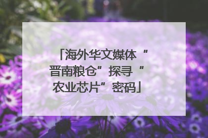 海外华文媒体“晋南粮仓”探寻“农业芯片”密码