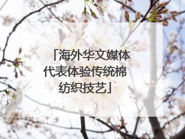 海外华文媒体代表体验传统棉纺织技艺