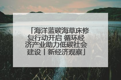 海洋蓝碳海草床修复行动开启 循环经济产业助力低碳社会建设丨新经济观察