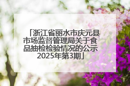 浙江省丽水市庆元县市场监督管理局关于食品抽检检验情况的公示2025年第3期