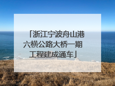 浙江宁波舟山港六横公路大桥一期工程建成通车
