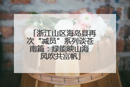 浙江山区海岛县再次“减员”系列谈苍南篇：绿能映山海 风吹共富帆