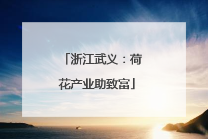 浙江武义：荷花产业助致富