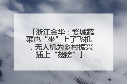 浙江金华：婺城蔬菜也“坐”上了飞机，无人机为乡村振兴插上“翅膀”