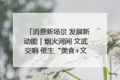 消费新场景 发展新动能｜烟火河间 文武交响 催生“美食+文化”消费新场景