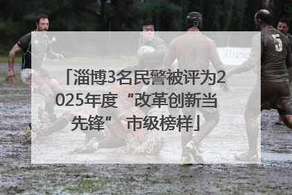 淄博3名民警被评为2025年度“改革创新当先锋” 市级榜样