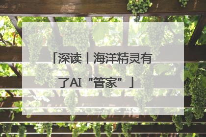深读丨海洋精灵有了AI“管家”