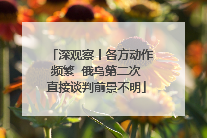 深观察丨各方动作频繁  俄乌第二次直接谈判前景不明