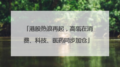 港股热浪再起，高瓴在消费、科技、医药同步加仓