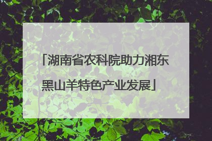 湖南省农科院助力湘东黑山羊特色产业发展
