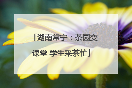 湖南常宁：茶园变课堂 学生采茶忙
