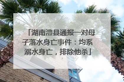 湖南澧县通报一对母子落水身亡事件：均系溺水身亡，排除他杀