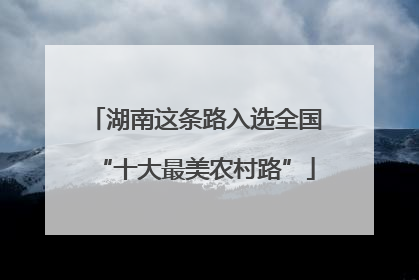 湖南这条路入选全国“十大最美农村路”