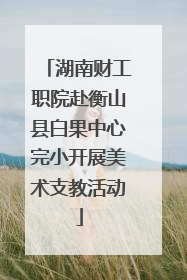 湖南财工职院赴衡山县白果中心完小开展美术支教活动