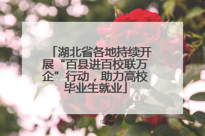 湖北省各地持续开展“百县进百校联万企”行动，助力高校毕业生就业