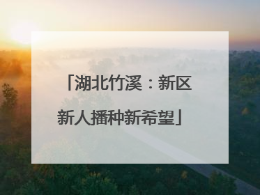 湖北竹溪：新区新人播种新希望