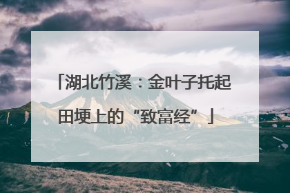 湖北竹溪：金叶子托起田埂上的“致富经”