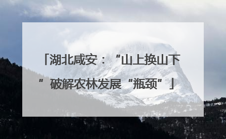 湖北咸安：“山上换山下”破解农林发展“瓶颈”