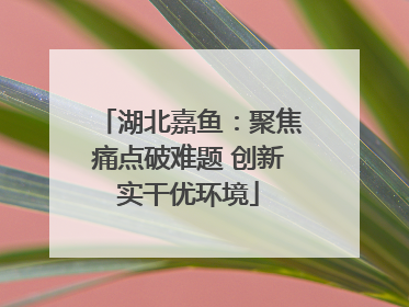 湖北嘉鱼：聚焦痛点破难题 创新实干优环境