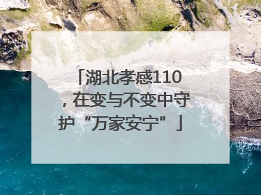 湖北孝感110，在变与不变中守护“万家安宁”