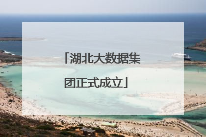 湖北大数据集团正式成立