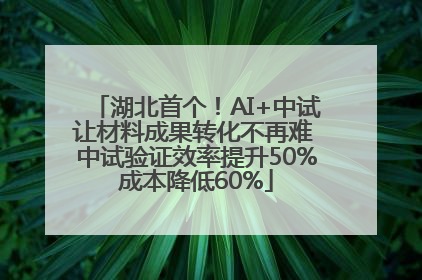 湖北首个！AI+中试让材料成果转化不再难 中试验证效率提升50%成本降低60%