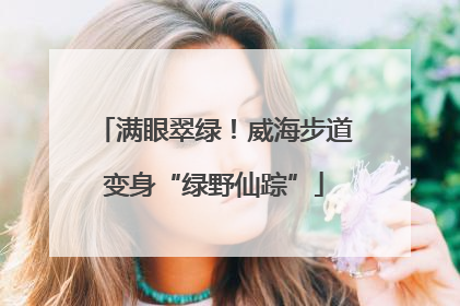 满眼翠绿！威海步道变身“绿野仙踪”