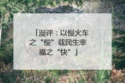 漫评：以慢火车之“慢”载民生幸福之“快”
