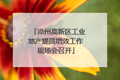 漳州高新区工业地产提质增效工作现场会召开